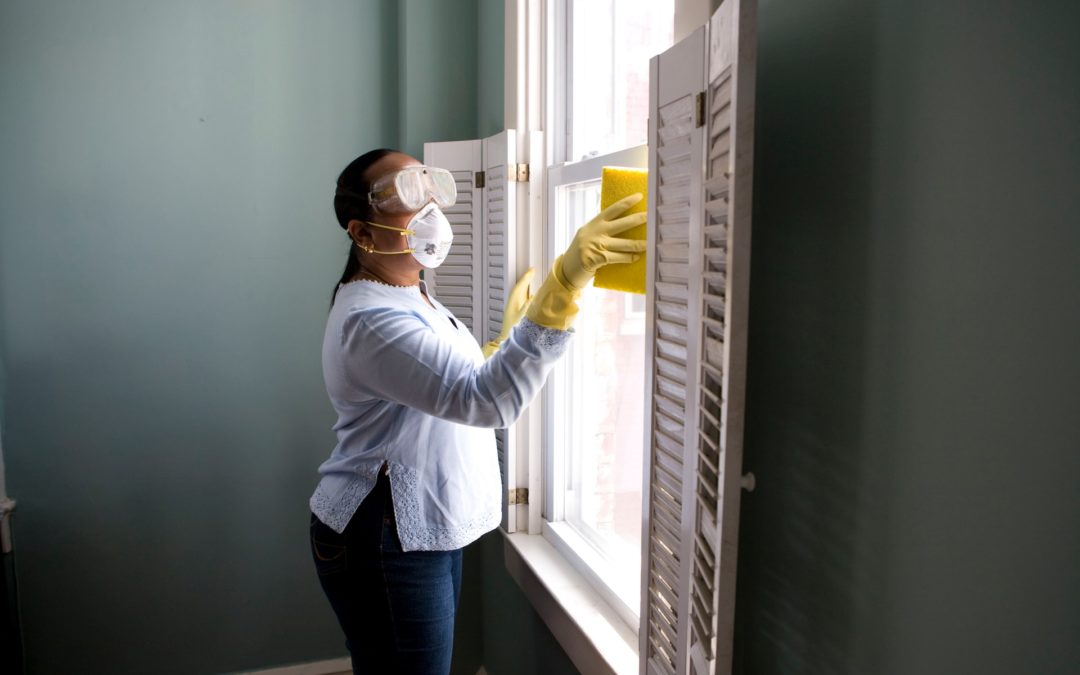 a cleaning lady cleaning home window