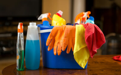 Thanksgiving Cleaning Tips